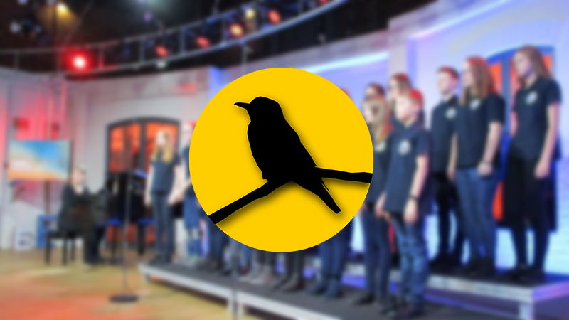 Ehemaligenprojekt der Pirole